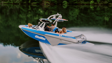 サムネール画像