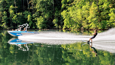 サムネール画像